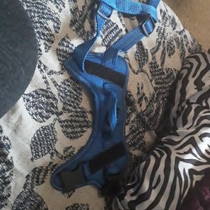 Service  Dog Or Emotional  Support  Vest